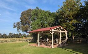 The Cudgee At Mudgee